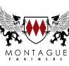 Montague Partners - Gold Coast Accountants