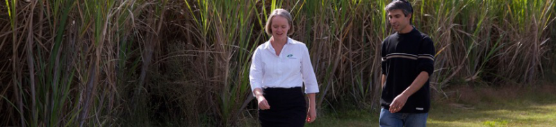 Ashby Heights NSW Gold Coast Accountants