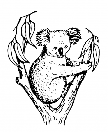 Koala Accounting & Taxation - Gold Coast Accountants 2