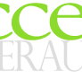 Access Super Audit Pty Ltd - Gold Coast Accountants