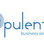 Opulento Business Services - Gold Coast Accountants