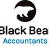 Black Bear Accountants - Gold Coast Accountants