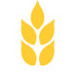 Gibson  Co - Gold Coast Accountants