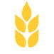 Gibson & Co - Gold Coast Accountants 0