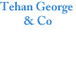 Tehan George  Co - Gold Coast Accountants