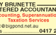 Desley Brunette Chartered Accountant - thumb 1