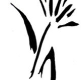 Bloomfield  Associates - Gold Coast Accountants