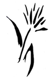 Bloomfield & Associates - Gold Coast Accountants 0