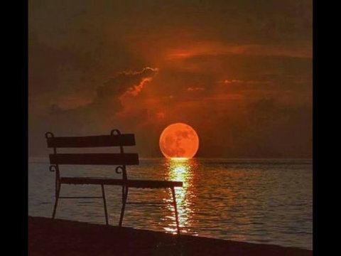 Bondi BAS Agent - Gold Coast Accountants 0