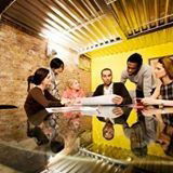 Lone Avocado - Gold Coast Accountants 0