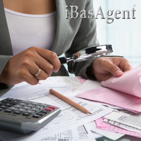 IBasAgent - Gold Coast Accountants 1