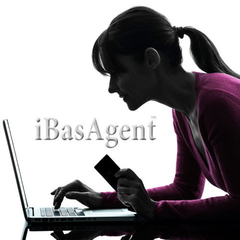 IBasAgent - Gold Coast Accountants 2
