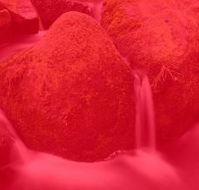 RedFrog Bookkeeping - Gold Coast Accountants