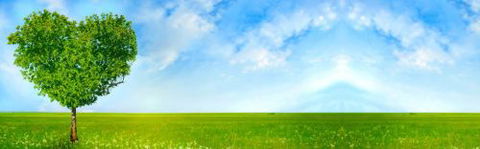 BBS - Business Bookkeeping Solutions - Gold Coast Accountants 3