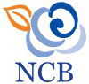 NCB Business Bookkeeping Services - Gold Coast Accountants