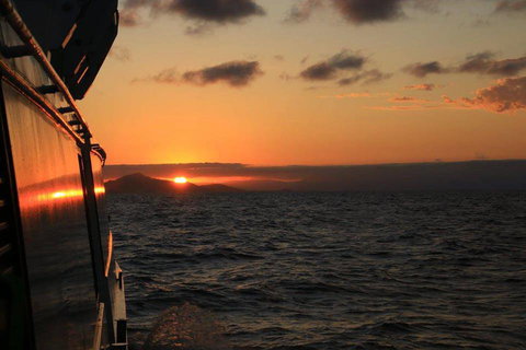 Transworld Business Advisors Townsville - Gold Coast Accountants 3