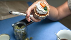 Cannabis cafes may become tourist draw in US city as lung experts cite 'toxic chemical' concerns Gold Coast Accountants
