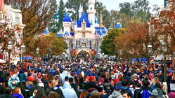 Disneyland guests left scrambling after water outage shuts bathrooms and restaurants Gold Coast Accountants