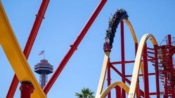 Popular amusement park bans guest for life after roller coaster stunt viral video Gold Coast Accountants